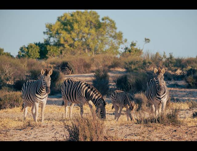 1,500M² LODGE FOR SALE IN HARTEBEESFONTEIN